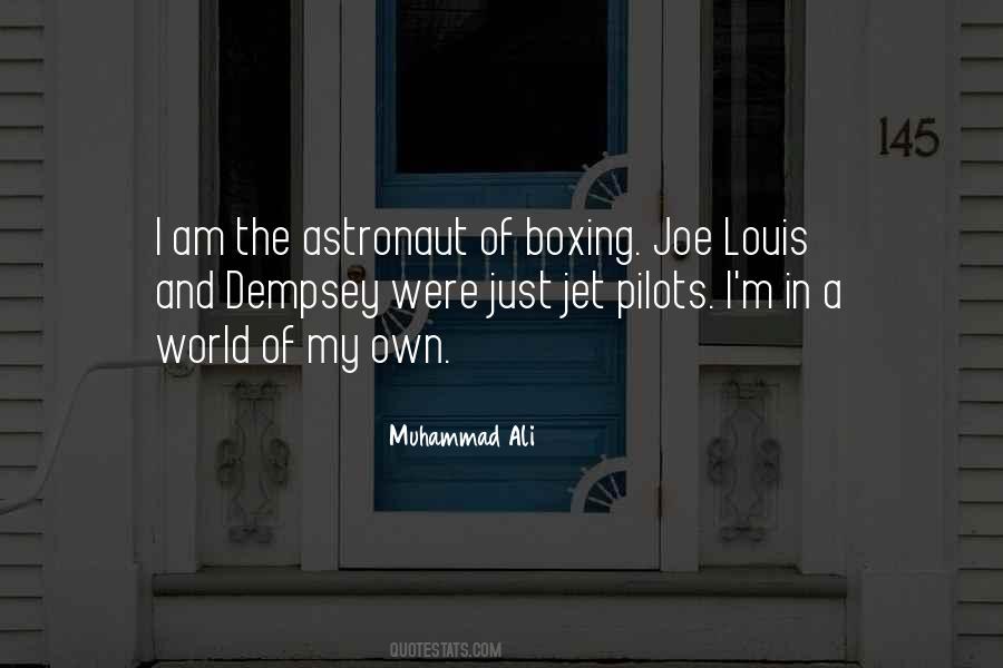 Astronaut Quotes #282897