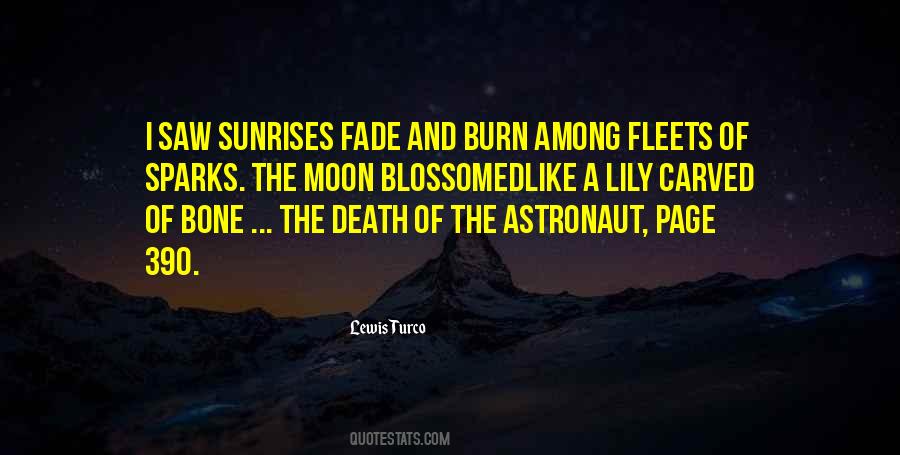 Astronaut Quotes #451286