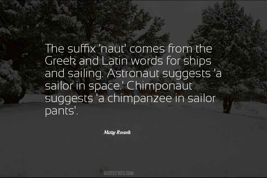 Astronaut Quotes #916081