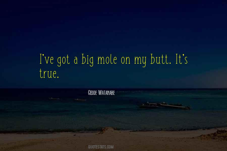 Quotes About Mole #1263768