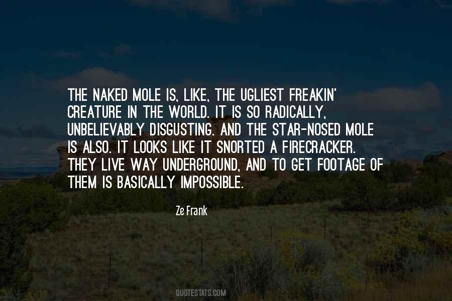 Quotes About Mole #787775