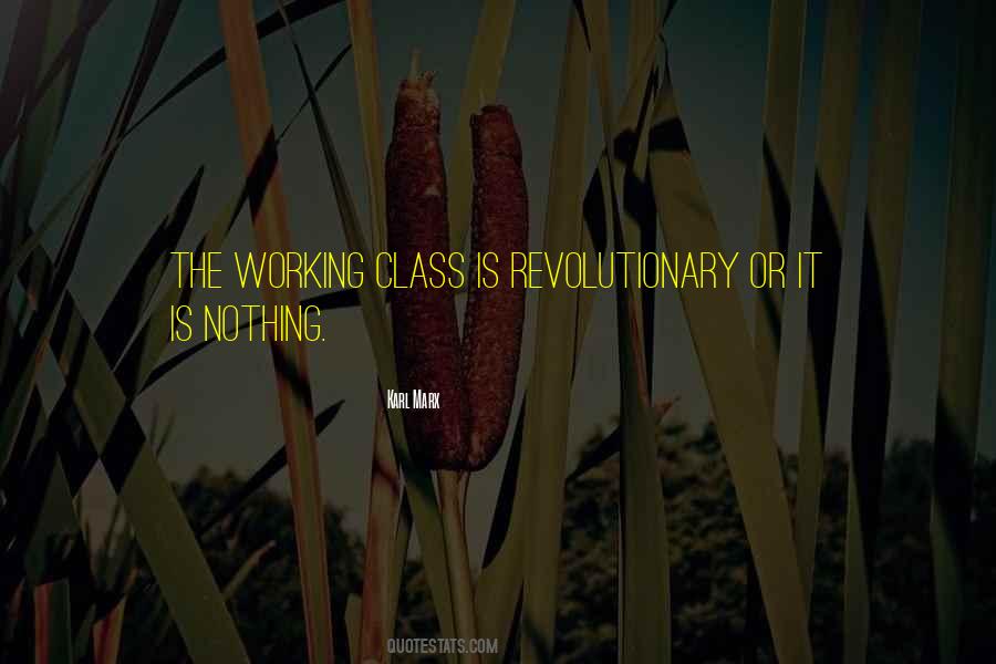 Quotes About The Working Class #293495