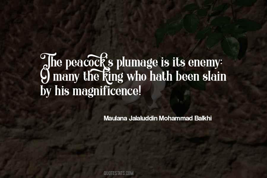 Quotes About Mohammad #329211