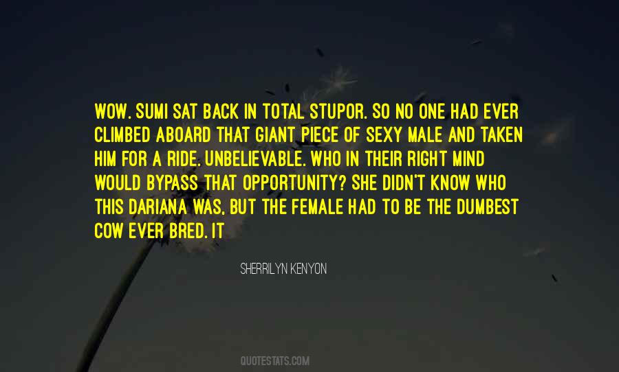 Come Aboard Quotes #354752