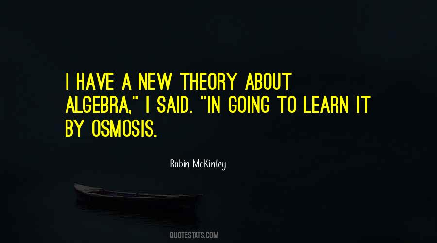 Theory Theory Quotes #21167