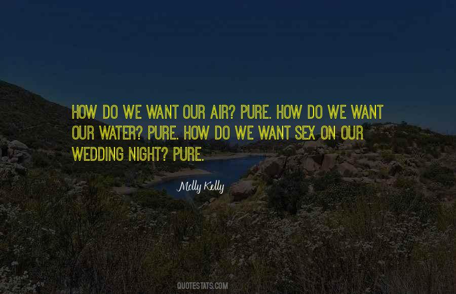 Night Air Quotes #319318