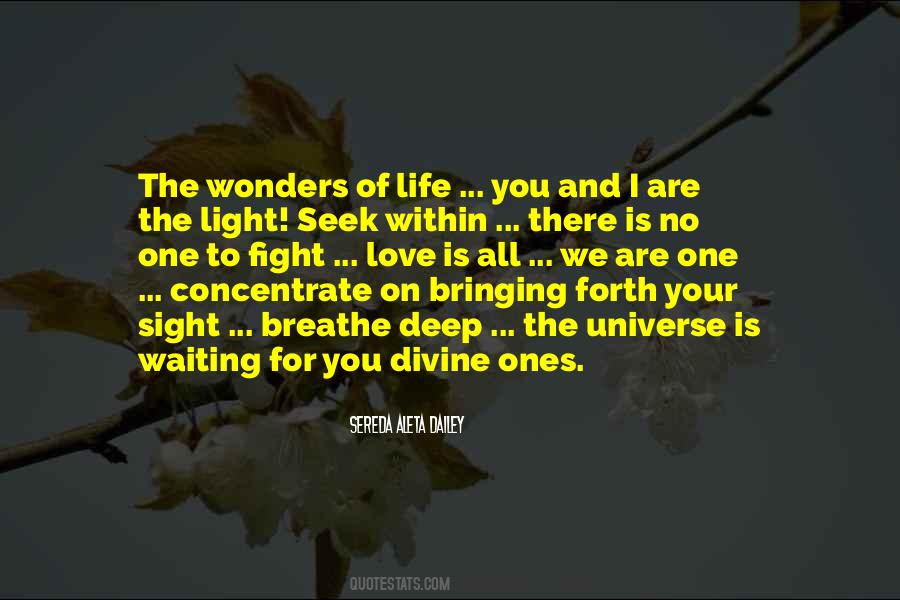 Quotes About The Wonders Of Life #144257