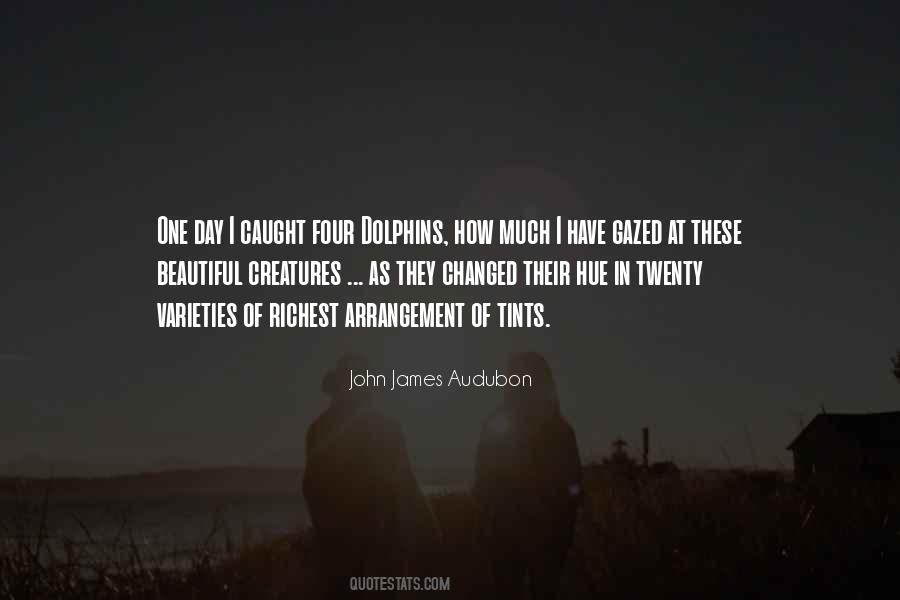 Audubon Quotes #371572