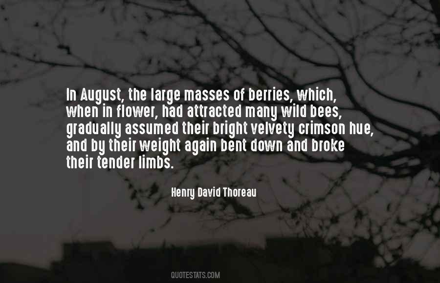 August Summer Quotes #1028988 August Summer Quotes #1028988