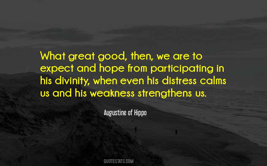 Augustine Hippo Quotes #141416