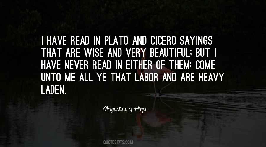 Augustine Hippo Quotes #15845