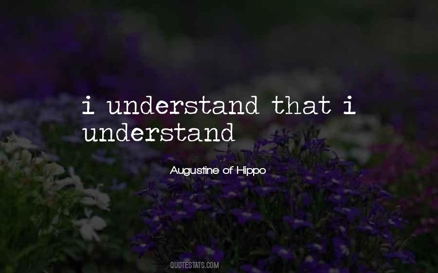 Augustine Hippo Quotes #295393