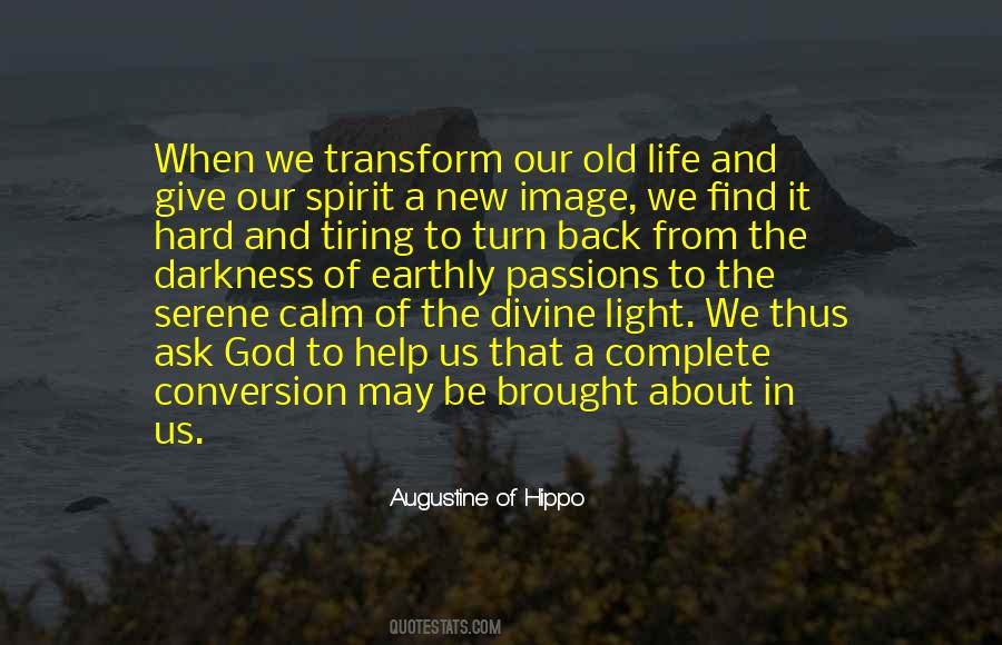 Augustine Hippo Quotes #417018