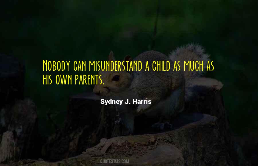 Quotes About Misunderstand #829119