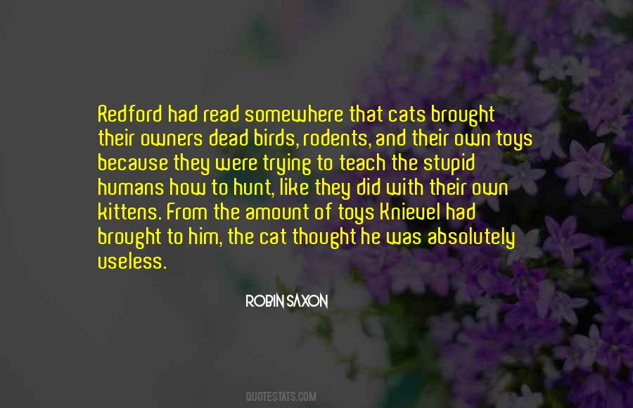 Cat Behavior Quotes #1714221