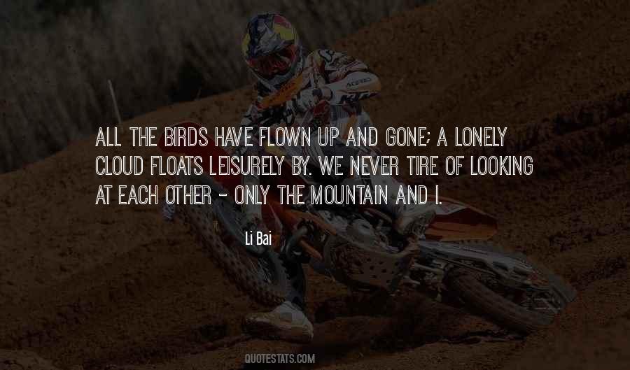 The Mountain Quotes #1337084
