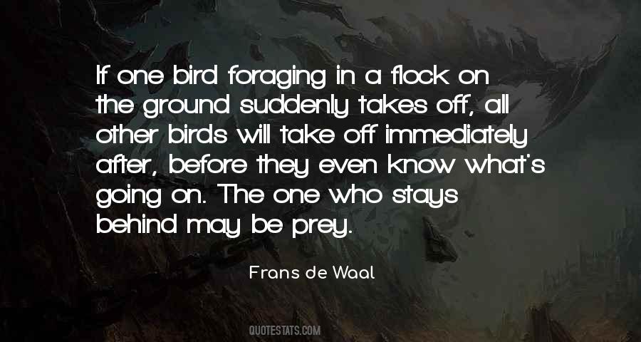One Flock Quotes #377074