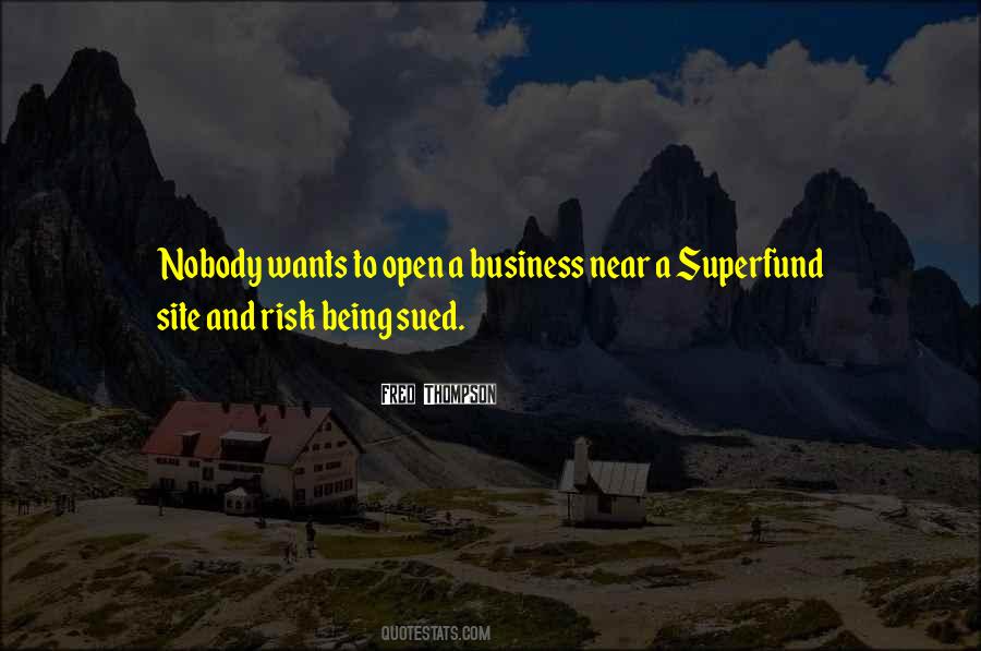 Business Risk Quotes #922632