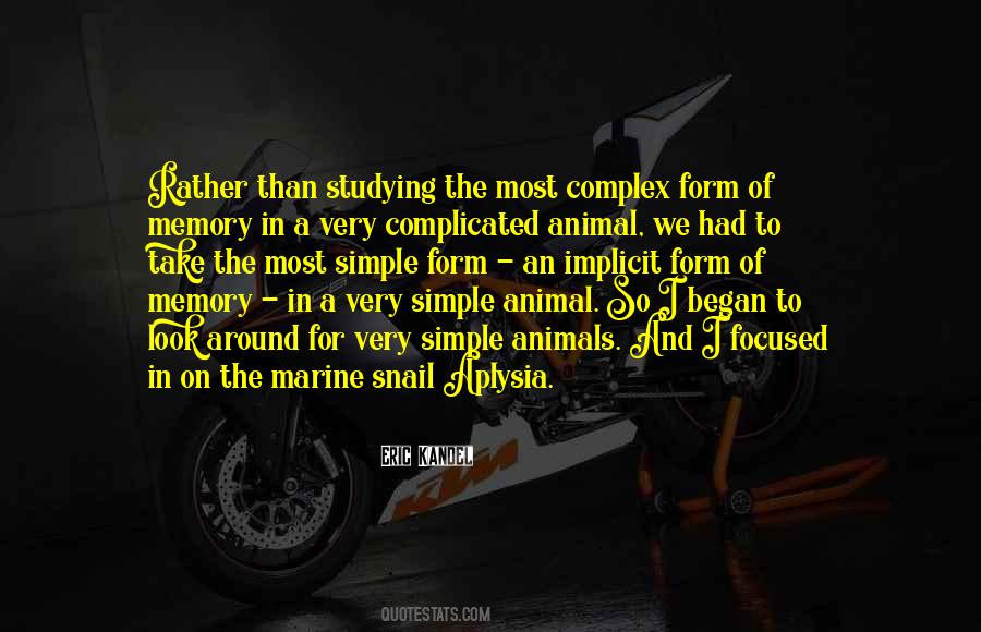Implicit Memory Quotes #915121