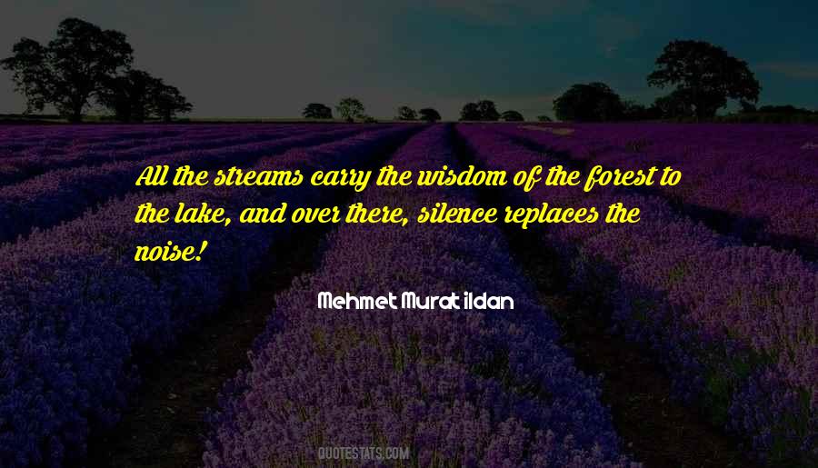 Quotes About The Wisdom Of Silence #843872