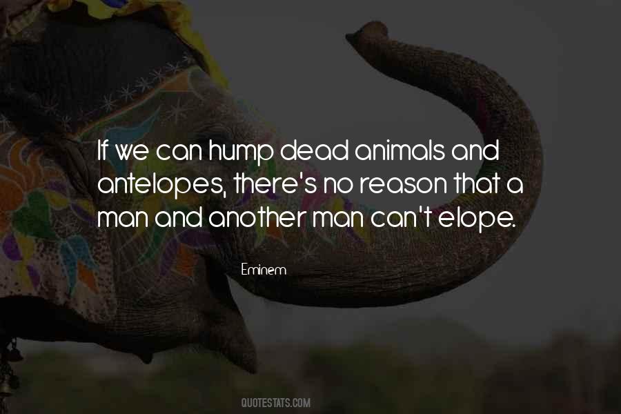 Dead Animals Quotes #123000