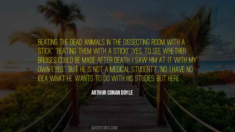 Dead Animals Quotes #292929