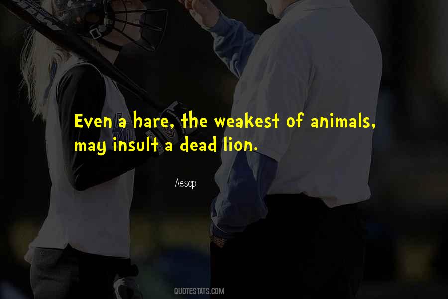 Dead Animals Quotes #5619