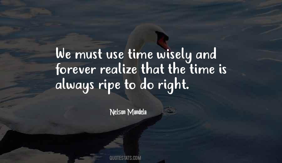 Use Your Time Wisely Quotes #587769