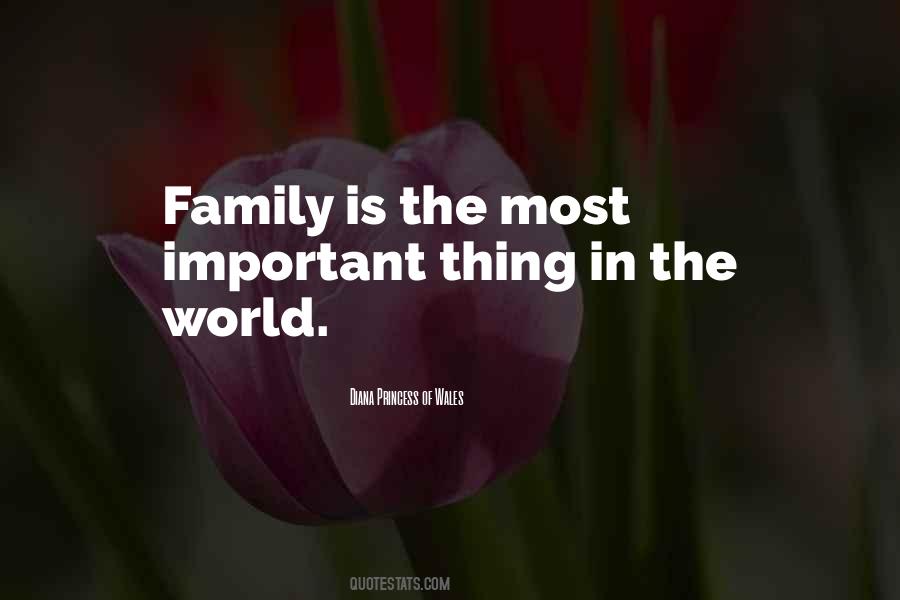 Family Is The Most Important Quotes #1109108