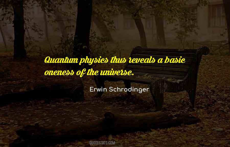 Quantum Universe Quotes #1402462