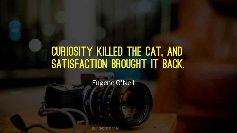 Curiosity Cat Quotes #790484