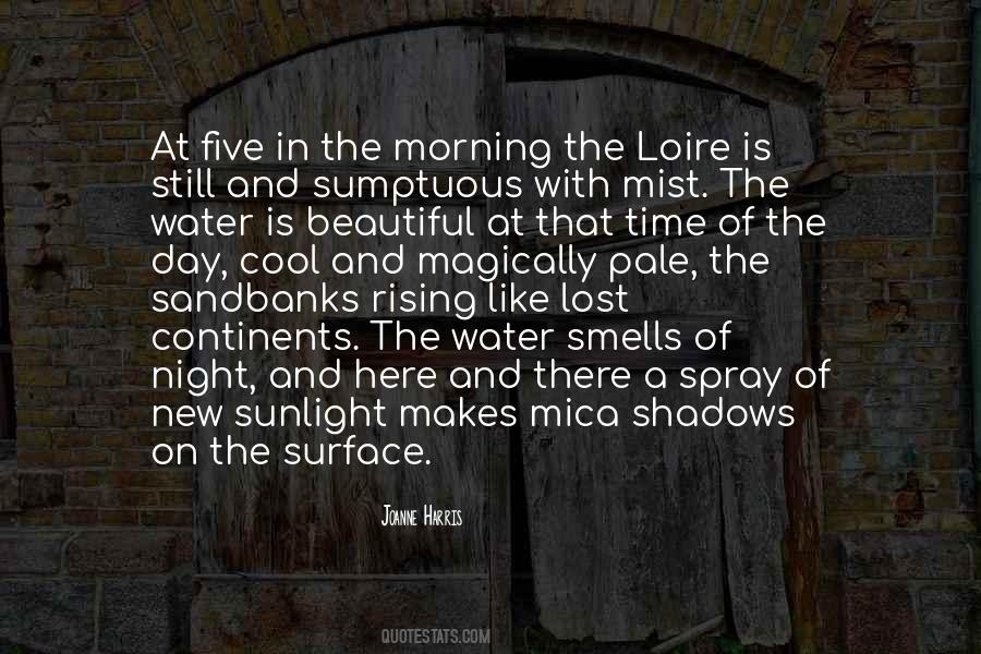 Shadows Of The Night Quotes #1778725