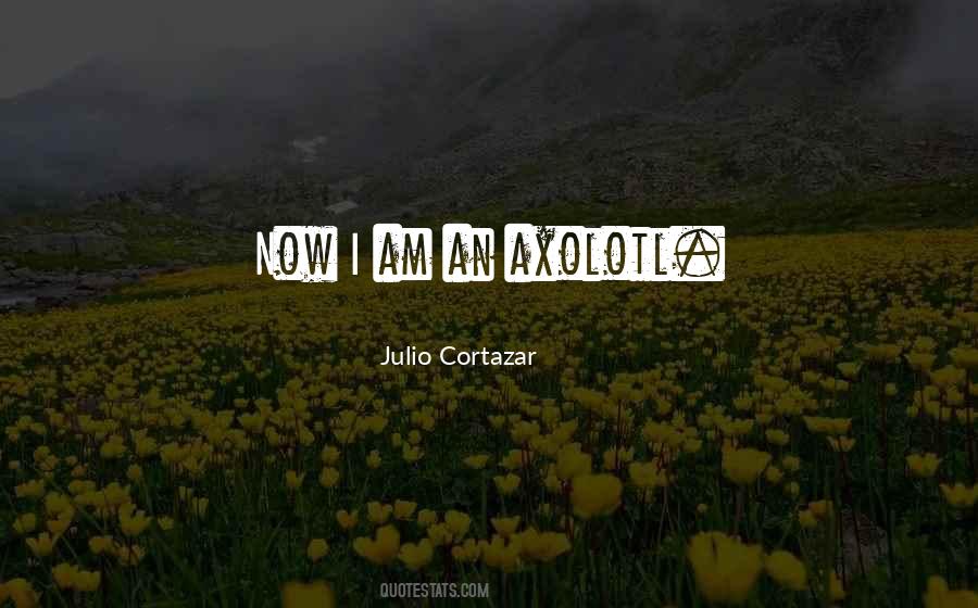 Axolotl Quotes #1556403