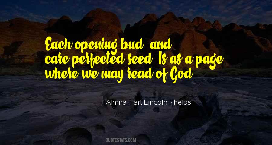 Almira Quotes #864531