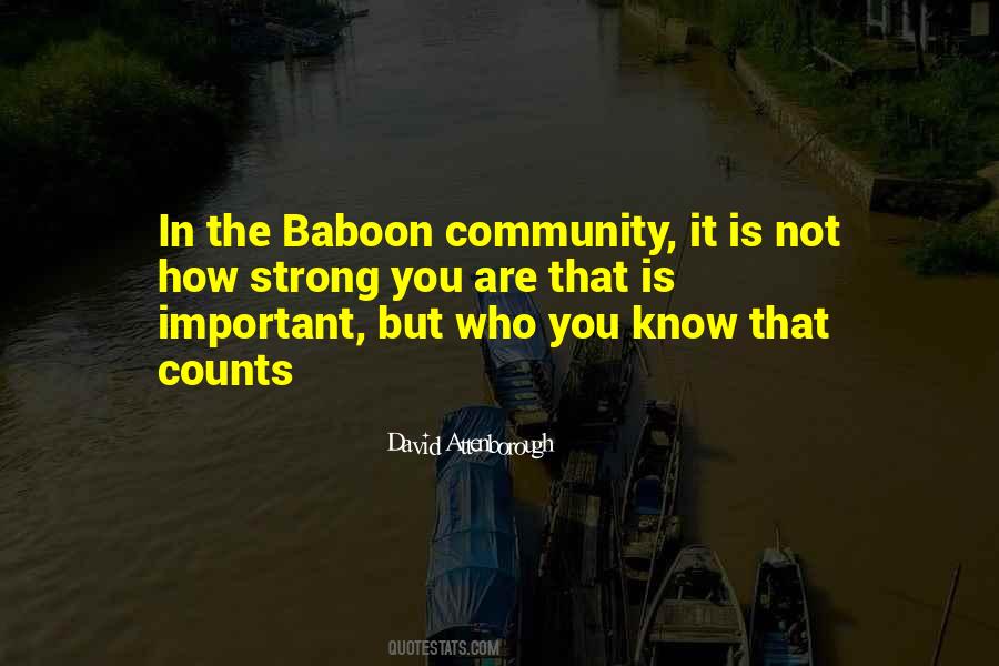 Baboon Quotes #852643