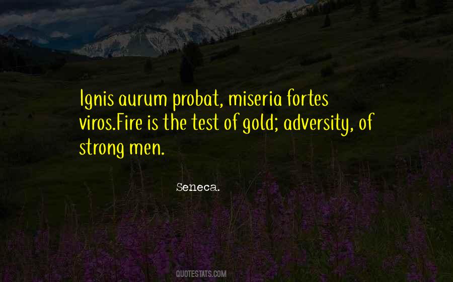 Quotes About Miseria #385963