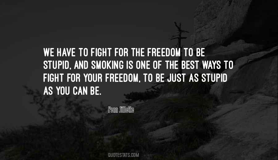 Freedom Fight Quotes #98001