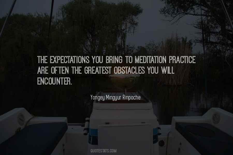 Mingyur Meditation Quotes #354648