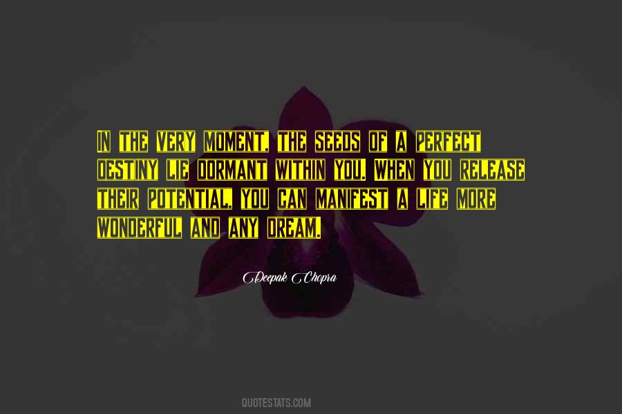 Wonderful Dream Quotes #1172415