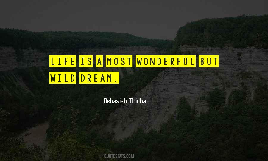 Wonderful Dream Quotes #1661483