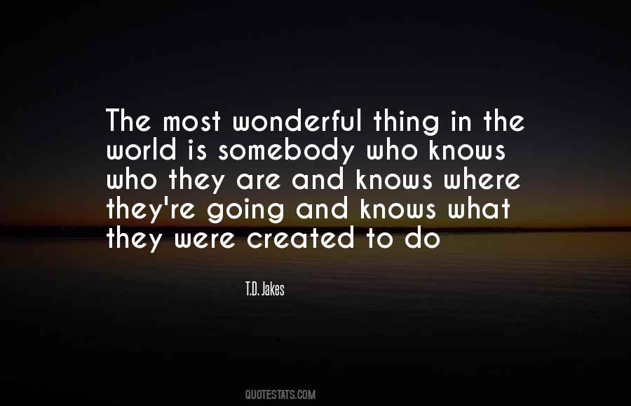 Wonderful Dream Quotes #821060