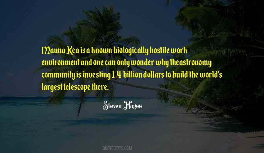 Work Why Quotes #44189
