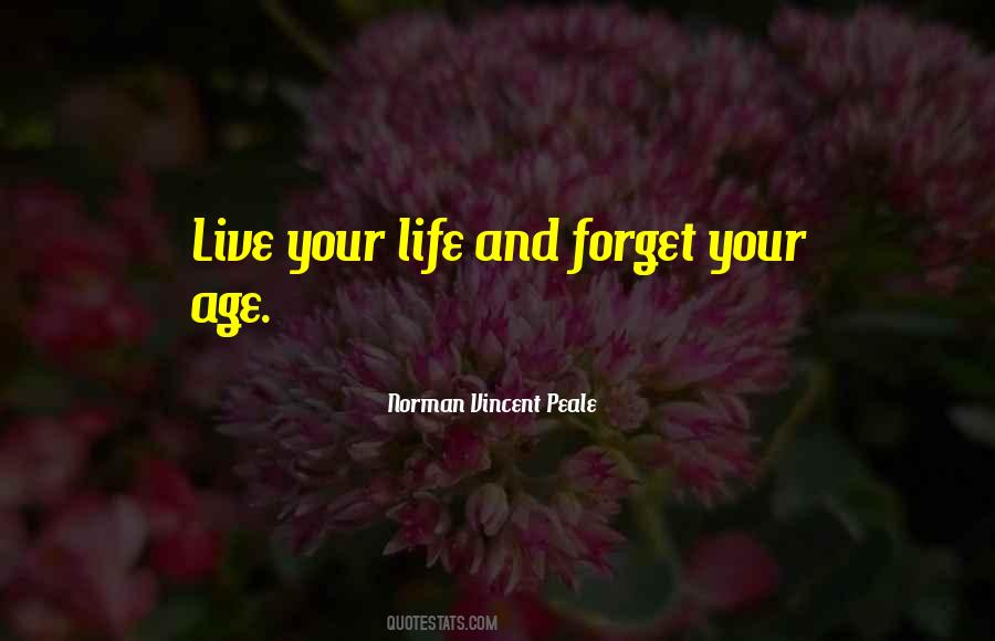 Vincent Peale Quotes #307050