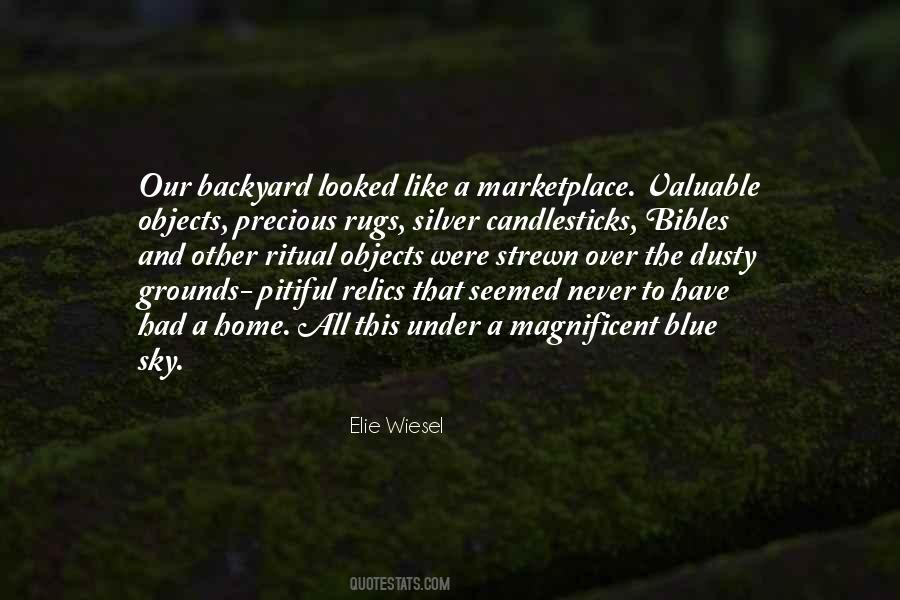 Under The Never Sky Quotes #1086045