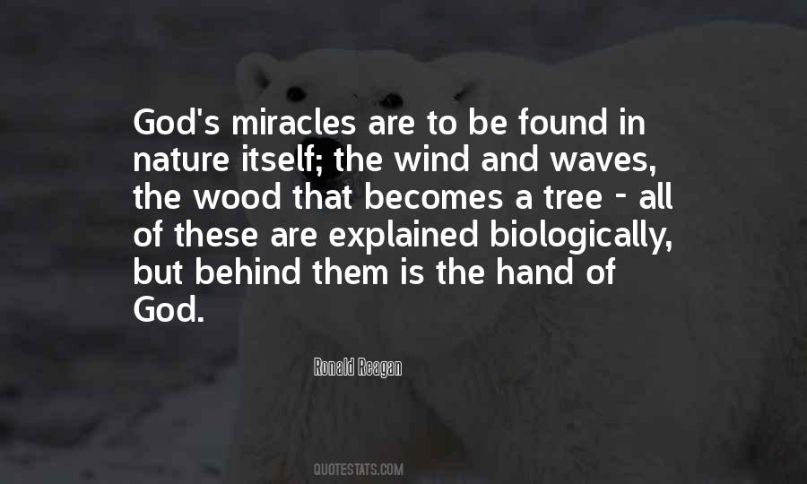 Quotes About Miracles Of Nature #1504906