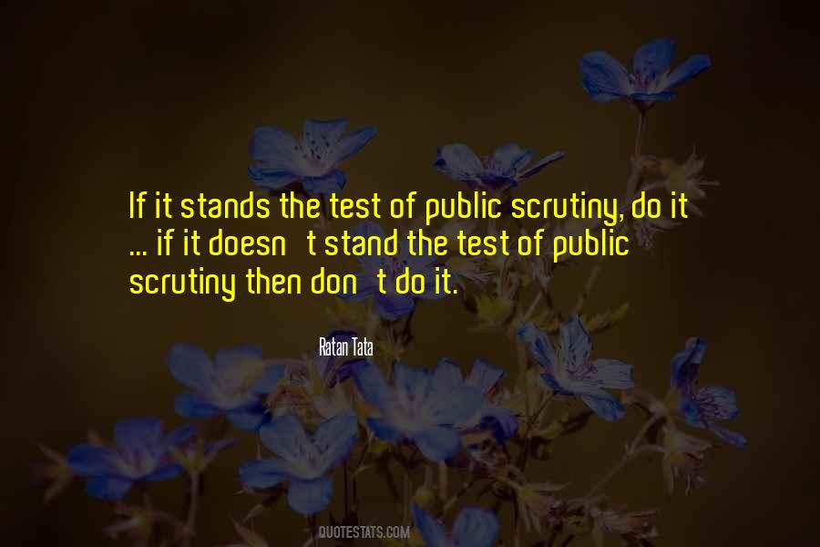 Public Scrutiny Quotes #1064406