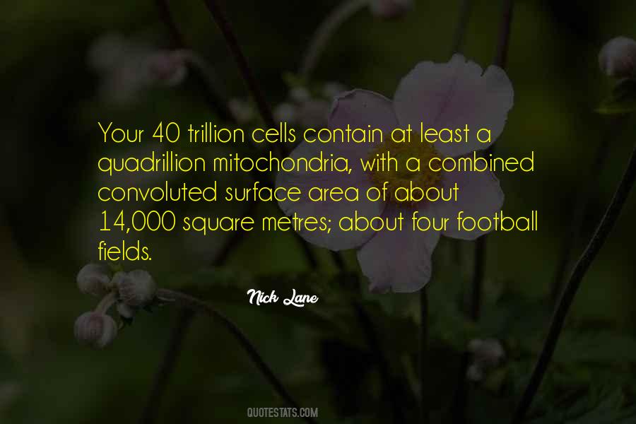 B Cells Quotes #44027