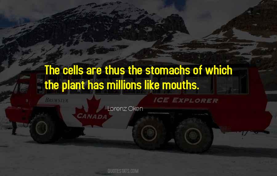 B Cells Quotes #52685