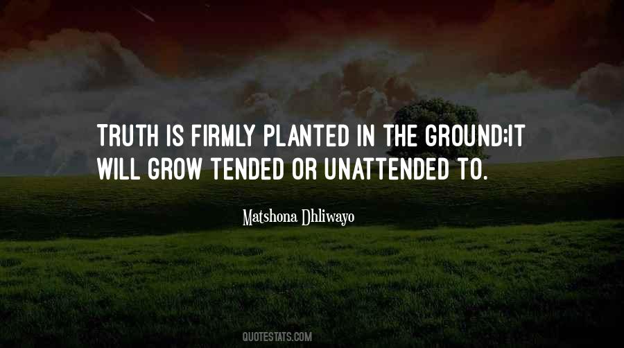 Ground Truth Quotes #1100912