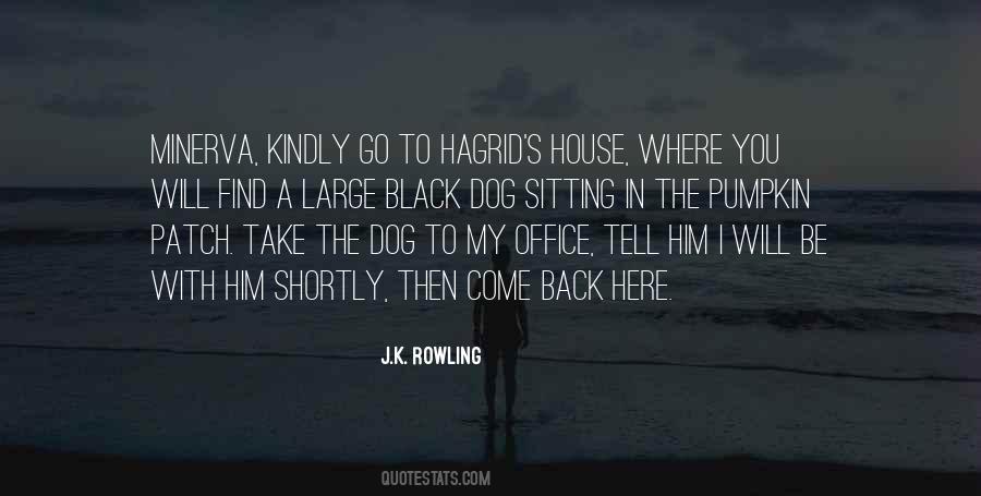 Back Office Quotes #588834